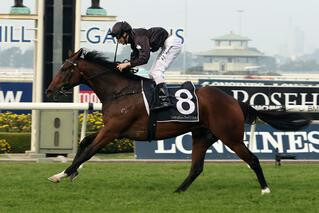 Ecuador wins the Listed Lord Mayor's Cup at Rosehill. Photo Credit: Equine Images. 
